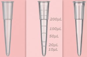 200μl 微量滴管尖Tip