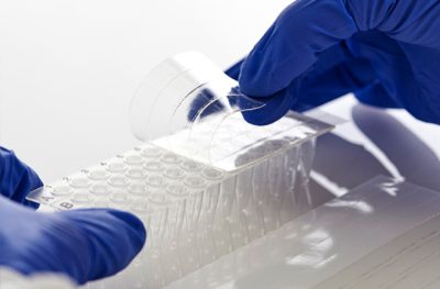 PCR Seal_2 PCR 封條