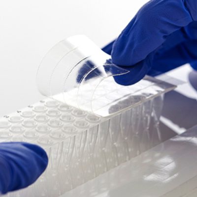 PCR Seal_2 PCR 封條