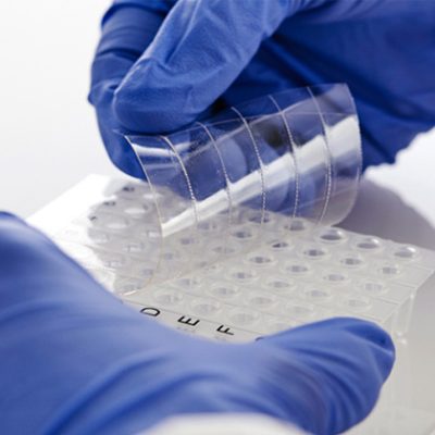 PCR Seal_4 PCR 封條